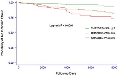 Correlation Between CHA2DS2-VASc Score and Left Atrial Size in Patients With Atrial Fibrillation: A More Than 15-Year Prospective Follow-Up Study